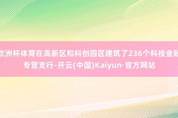 歐洲杯體育在高新區和科創園區建筑了236個科技金融專營支行-開云(中國)Kaiyun·官方網站
