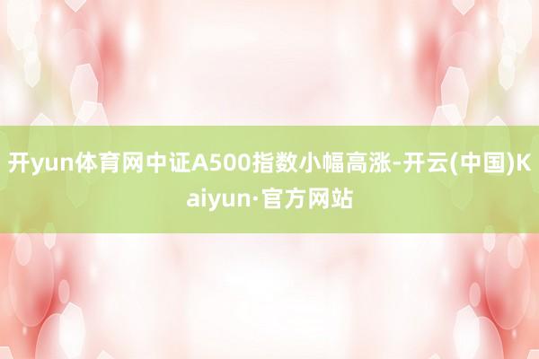 開yun體育網中證A500指數小幅高漲-開云(中國)Kaiyun·官方網站