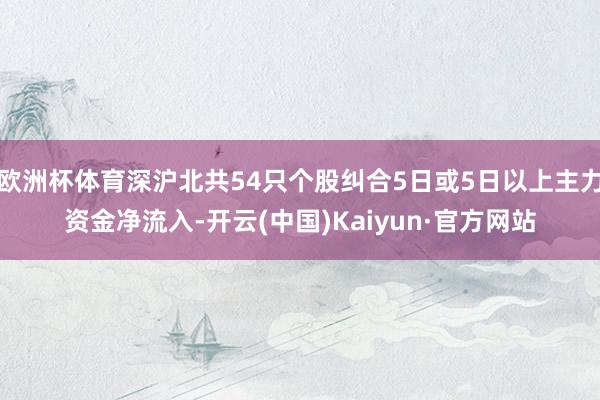 歐洲杯體育深滬北共54只個股糾合5日或5日以上主力資金凈流入-開云(中國)Kaiyun·官方網站