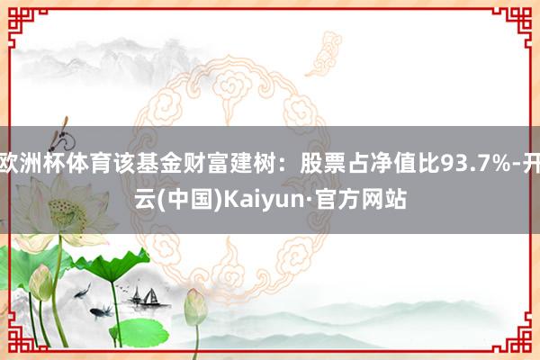 歐洲杯體育該基金財(cái)富建樹(shù)：股票占凈值比93.7%-開(kāi)云(中國(guó))Kaiyun·官方網(wǎng)站